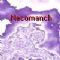 Download Necomanch Cell Phone Game