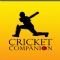 Download Cricket Companion Cell Phone Software
