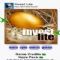 Download Invest Lite By Keys Cell Phone Software