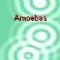Download Amoebas Cell Phone Game