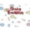 Download Snake Evolution Cell Phone Game