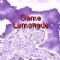 Download Game Lemonade Cell Phone Game