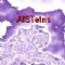 Download AISTetris Cell Phone Game