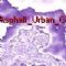 Download Asphalt_Urban_GT Cell Phone Game
