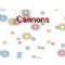 Download Cannons Cell Phone Game