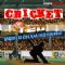 Dwonload Cricket T20 World Championship Lite Cell Phone Game
