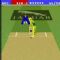Download Internation Cricket Cell Phone Game