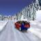 Dwonload Snow Rally Canada Cell Phone Game