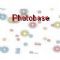 Download Photobase Cell Phone Software