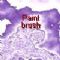 Download Paint brush Cell Phone Software