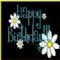 Download Birthday Reminder Cell Phone Software