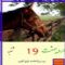 Download Horse Calendar Cell Phone Software