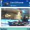 Download Live2Phone Mobile Surveillance Cell Phone Software