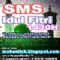 Download SMS Idul Fitri Cell Phone Software