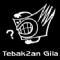 Download Tebak2an Gila Cell Phone Software