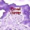 Download Email Viewer Cell Phone Software