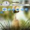 Download Cell Phone Theme