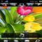 Download Cell Phone Theme