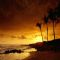 Download Cell Phone Wallpapers