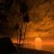 Download Cell Phone Wallpapers