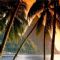 Download Cell Phone Wallpapers